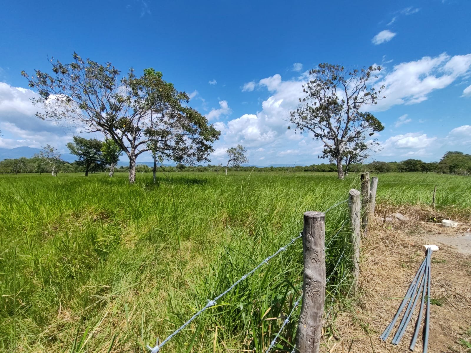 Terreno en Los Roblillos, Cochea, David, Chiriquí